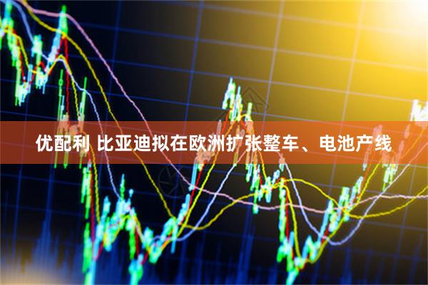 优配利 比亚迪拟在欧洲扩张整车、电池产线