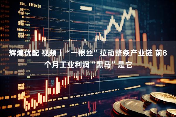 辉煌优配 视频丨“一根丝”拉动整条产业链 前8个月工业利润“黑马”是它