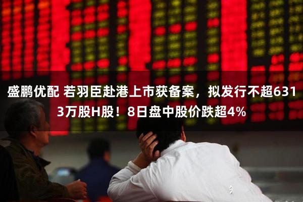 盛鹏优配 若羽臣赴港上市获备案，拟发行不超6313万股H股！8日盘中股价跌超4%