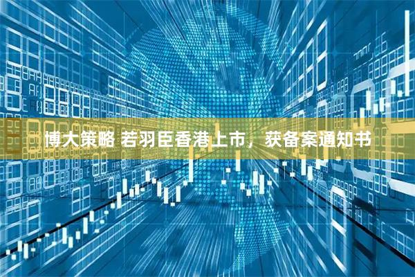 博大策略 若羽臣香港上市，获备案通知书