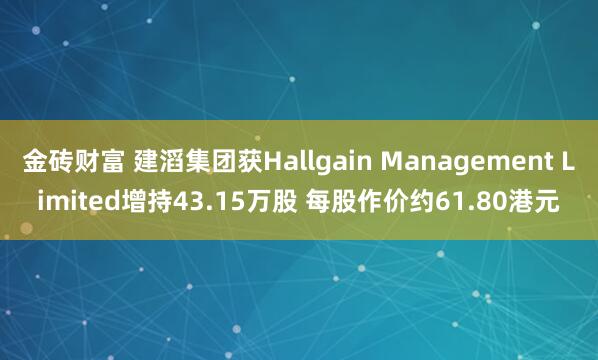 金砖财富 建滔集团获Hallgain Management Limited增持43.15万股 每股作价约61.80港元