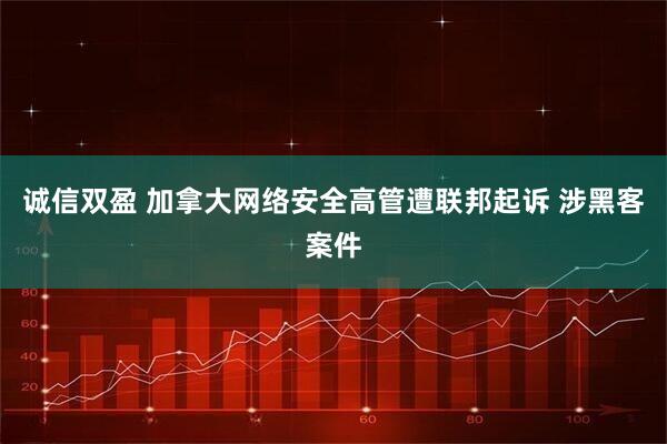 诚信双盈 加拿大网络安全高管遭联邦起诉 涉黑客案件
