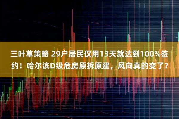 三叶草策略 29户居民仅用13天就达到100%签约！哈尔滨D级危房原拆原建，风向真的变了？