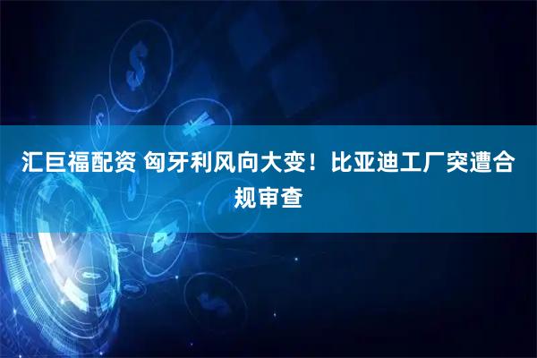 汇巨福配资 匈牙利风向大变！比亚迪工厂突遭合规审查